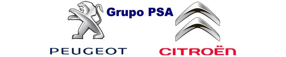 Grupo PSA: Citroen y Peugeot